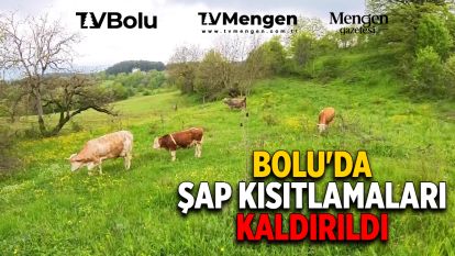 Bolu'da şap kısıtlamaları kaldırıldı