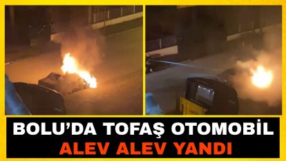 Bolu'da Tofaş otomobil alev alev yandı