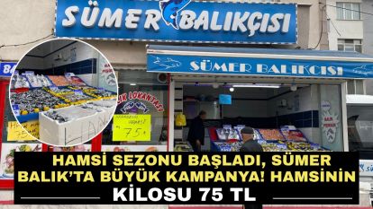 Hamsi Sezonu Başladı, Sümer Balık'ta Büyük Kampanya! Hamsinin Kilosu 75 TL