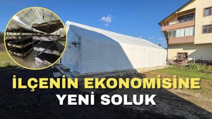 İlçenin ekonomisine yeni soluk