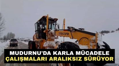 Mudurnu'da karla mücadele çalışmaları aralıksız sürüyor