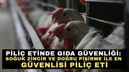 Piliç Etinde Gıda Güvenliği: Soğuk Zincir ve Doğru Pişirme ile En Güvenlisi Piliç Eti