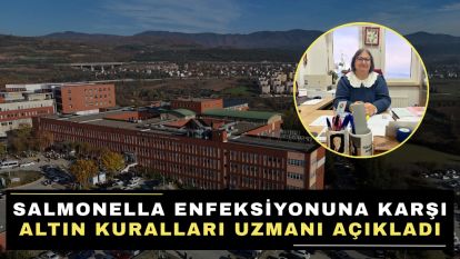 Salmonella enfeksiyonuna karşı altın kuralları uzmanı açıkladı