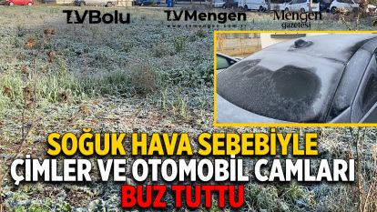 Soğuk hava sebebiyle çimler ve otomobil camları buz tuttu