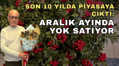 Son 10 yılda piyasaya çıktı: Aralık ayında yok satıyor