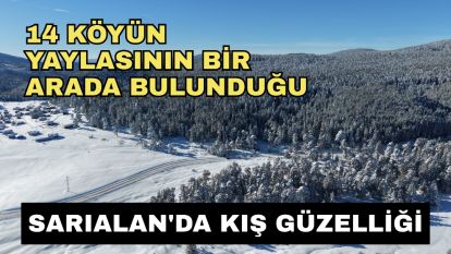 14 köyün yaylasının bir arada bulunduğu Sarıalan'da kış güzelliği