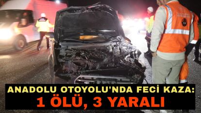 Anadolu Otoyolu'nda feci kaza: 1 ölü, 3 yaralı