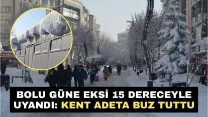 Bolu Güne Eksi 15 Dereceyle Uyandı: Kent Adeta Buz Tuttu