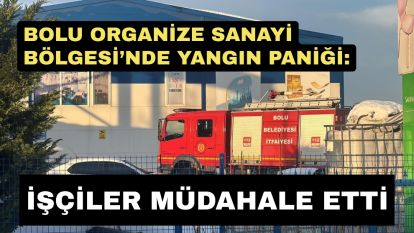 Bolu OSB'de mobilya imalat fabrikasında yangın paniği: İşçiler müdahale etti