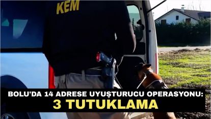 Bolu'da 14 adrese uyuşturucu operasyonu: 3 tutuklama