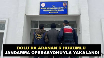 Bolu'da Aranan 6 Hükümlü Jandarma Operasyonuyla Yakalandı