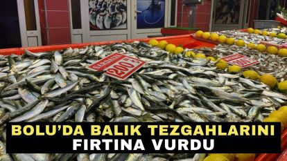 Bolu'da balık tezgahlarını fırtına vurdu