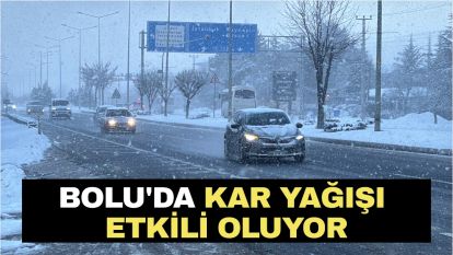 Bolu'da kar yağışı etkili oluyor