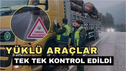 Yüklü araçlar tek tek kontrol edildi