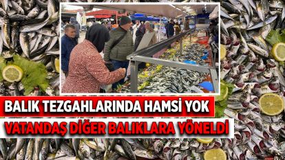Balık tezgahlarında hamsi yok, vatandaş diğer balıklara yöneldi