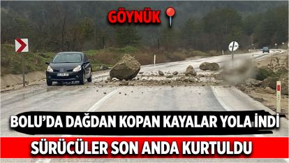Bolu'da dağdan kopan kayalar yola indi: Sürücüler son anda kurtuldu