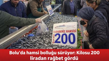 Bolu'da hamsi bolluğu sürüyor: Kilosu 200 liradan rağbet gördü