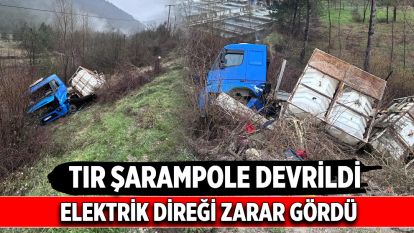 Bolu'da tır şarampole devrildi, elektrik direği zarar gördü