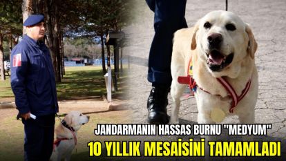 Jandarmanın hassas burnu "Medyum" 10 yıllık mesaisini tamamladı