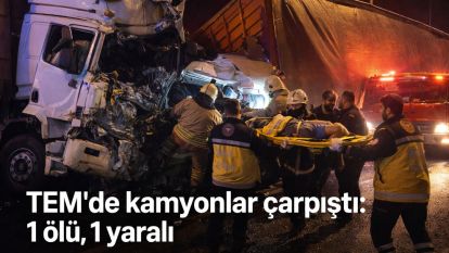 TEM'de kamyonlar çarpıştı: 1 ölü, 1 yaralı
