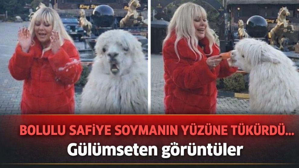 BOLULU SAFİYE SOYMANIN YÜZÜNE TÜKÜRDÜ... Gülümseten görüntüler