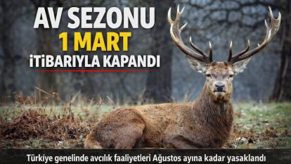 Av Sezonu 1 Mart İtibarıyla Kapandı