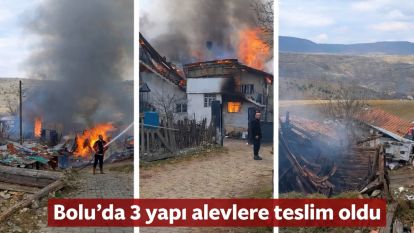 Bolu'da 3 yapı alevlere teslim oldu
