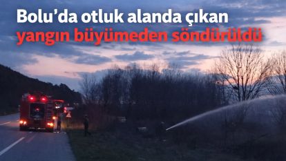 Bolu'da otluk alanda çıkan yangın büyümeden söndürüldü