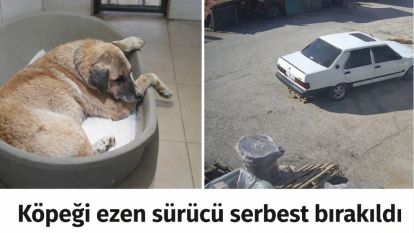 Köpeği ezen sürücü serbest bırakıldı