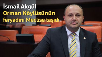 Orman Köylüsünün feryadı, Meclise taşındı