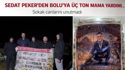 SEDAT PEKER'DEN BOLU'YA ÜÇ TON MAMA YARDIMI... Sokak canlarını unutmadı
