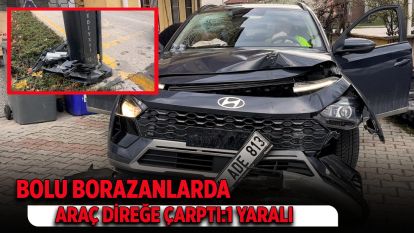 BOLU BORAZANLAR'DA  ARAÇ DİREĞE ÇARPTI: 1 YARALI