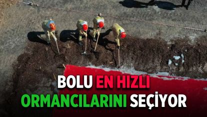 Bolu en hızlı ormancılarını seçiyor.