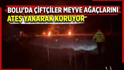 Bolu'da çiftçiler meyve ağaçlarını ateş yakarak koruyor