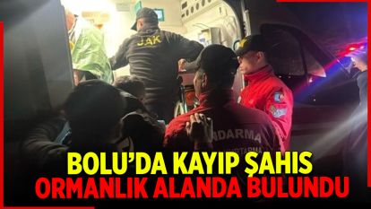 Bolu'da, Kayıp Şahıs Ormanlık Alanda Bulundu