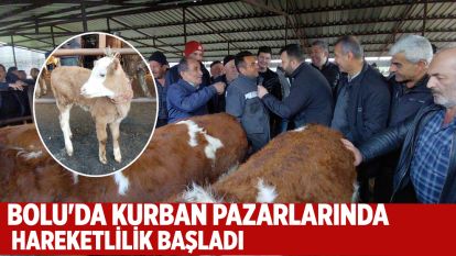 Bolu'da kurban pazarlarında hareketlilik başladı