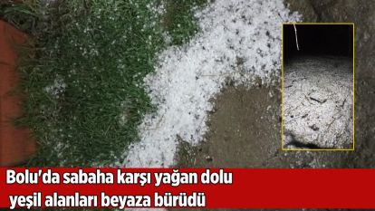 Bolu'da sabaha karşı yağan dolu yeşil alanları beyaza bürüdü