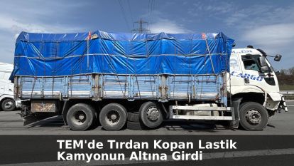 TEM'de tırdan kopan lastik kamyonun altına girdi