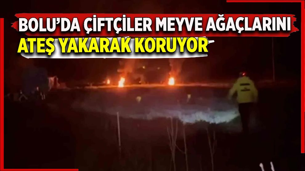 Bolu'da çiftçiler meyve ağaçlarını ateş yakarak koruyor