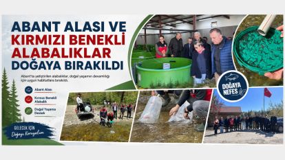 ABANT ALASI VE KIRMIZI BENEKLİ ALABALIKLAR DOĞAYA BIRAKILDI