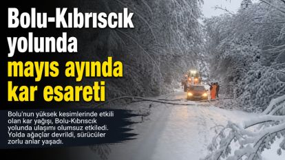 Bolu-Kıbrıscık yolunda mayıs ayında kar esareti