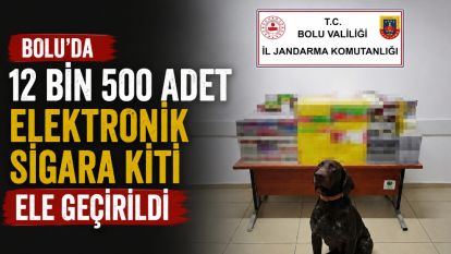 Bolu'da 12 bin 500 adet elektronik sigara kiti ele geçirildi
