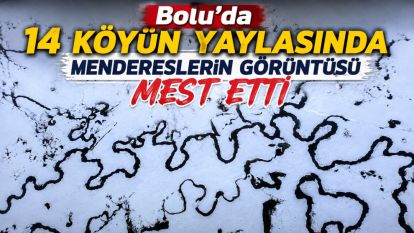 Bolu'da 14 köyün yaylasında mendereslerin görüntüsü mest etti