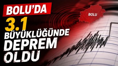 BOLU'DA 3.1 BÜYÜKLÜĞÜNDE DEPREM OLDU