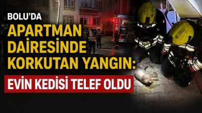 Bolu'da apartman dairesinde korkutan yangın: Evin kedisi telef oldu