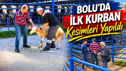 Bolu'da ilk kurban kesimleri yapıldı