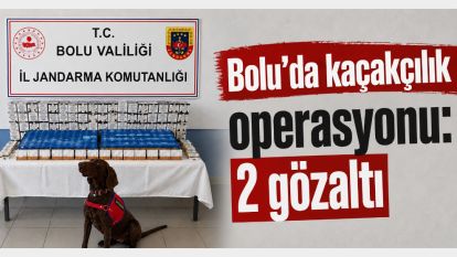 Bolu'da kaçakçılık operasyonu: 2 gözaltı