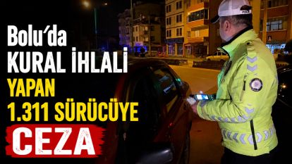 Bolu'da kural ihlali yapan bin 311 sürücüye ceza
