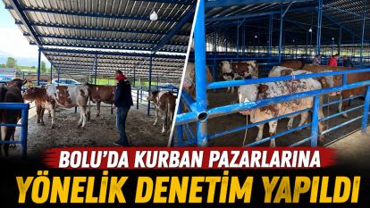 Bolu'da kurban pazarlarına yönelik denetim yapıldı