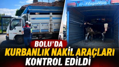 Bolu'da kurbanlık nakil araçları kontrol edildi